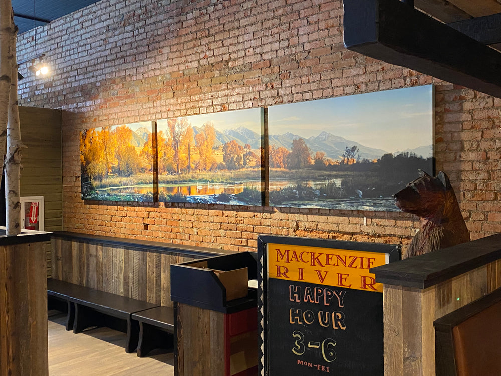 "3 Swans" Paradise Valley Photography By Craig Hergert, Yellowstone River - Downtown Bozeman MacKenzie River Pizza