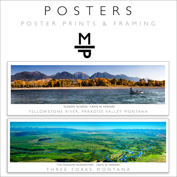 POSTERS
