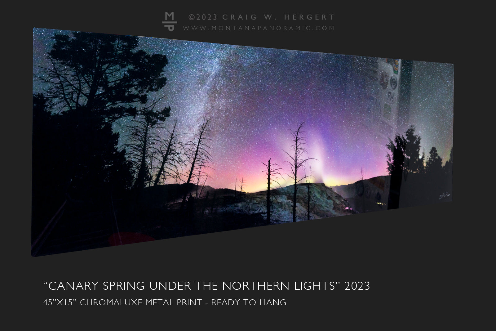 "Canary Springs under the Northern Lights" - 45x15 metal print