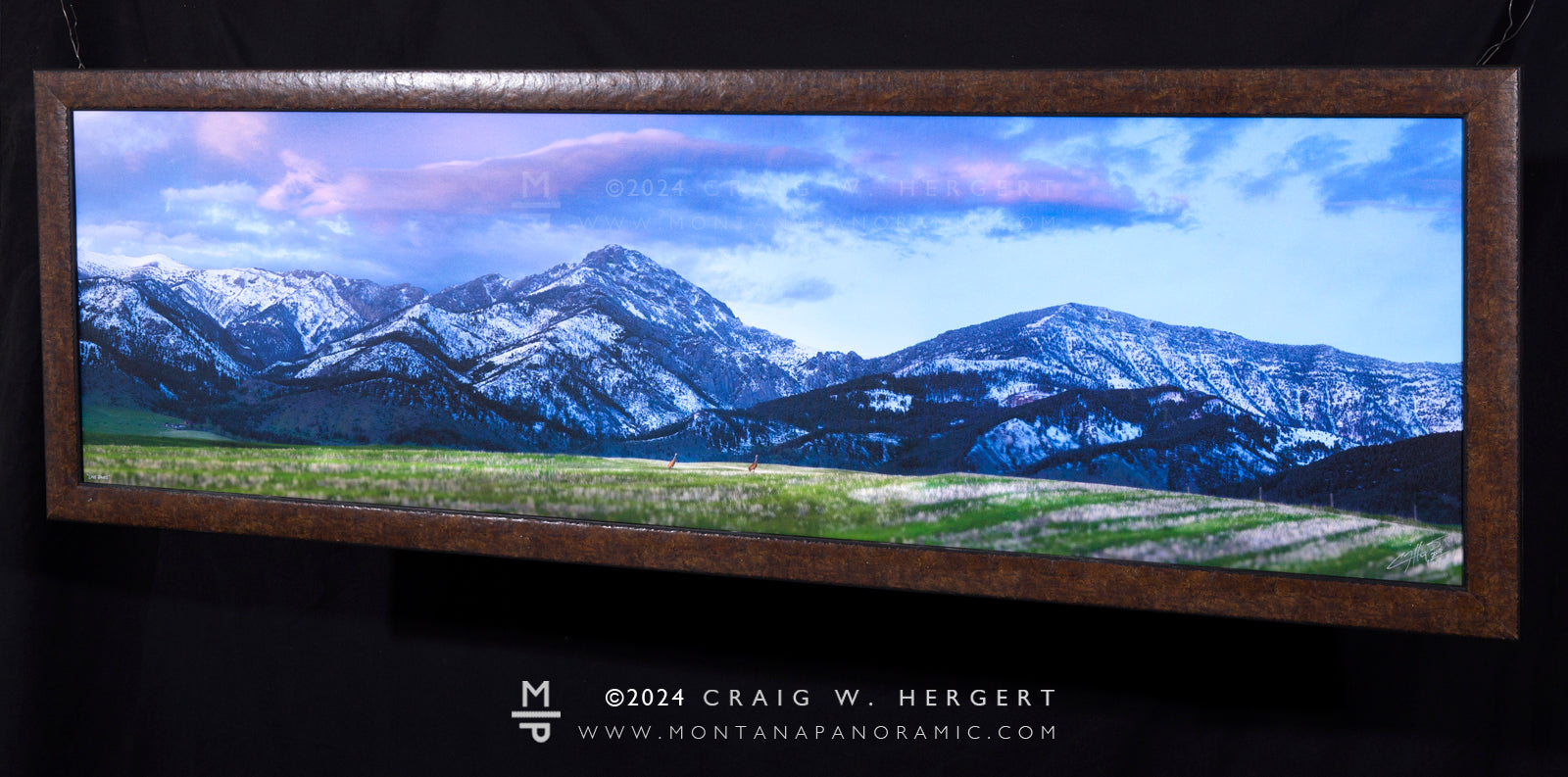 "Line Dance" -60"x18" Limited Edition of 75 - custom framed