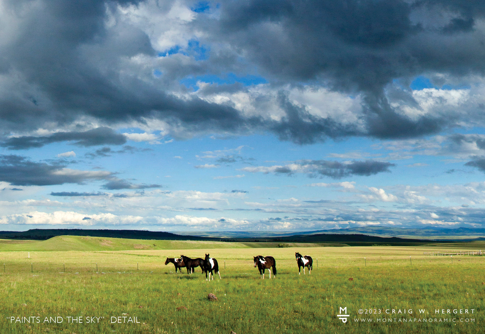 “PAINTS AND THE SKY”   MARTINSDALE, MT