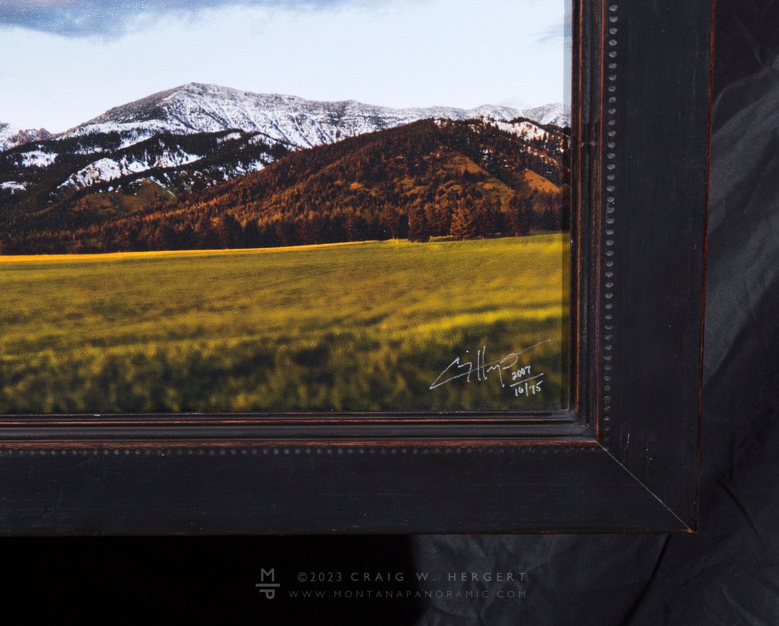 "Community" - Limited Edition of 75 on Canvas - framed 48" x 17.5" ready to hang