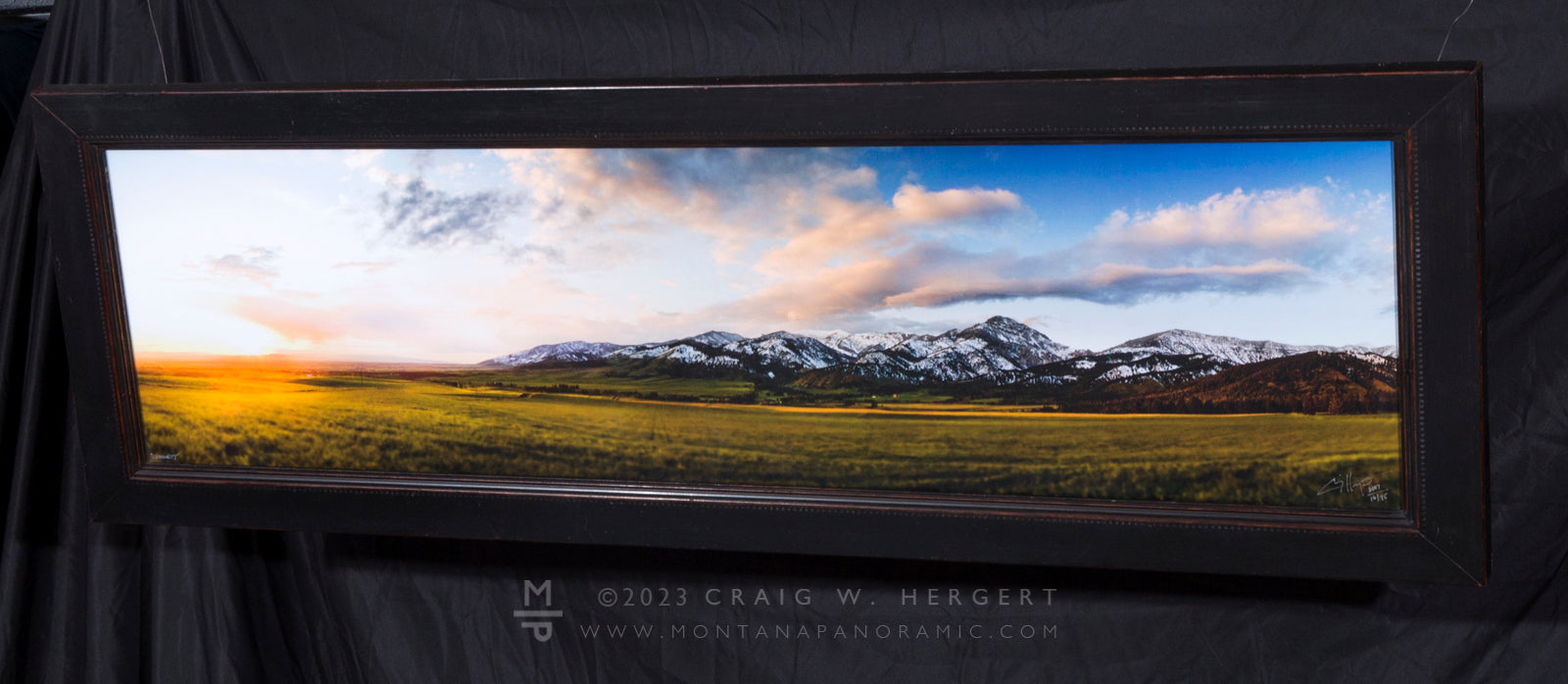 "Community" - Limited Edition of 75 on Canvas - framed 48" x 17.5" ready to hang