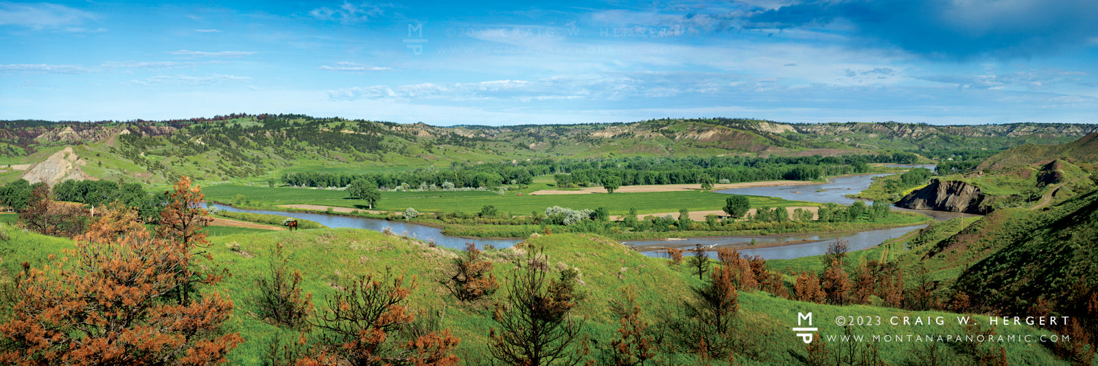 "Lone Calf" Mosby, MT