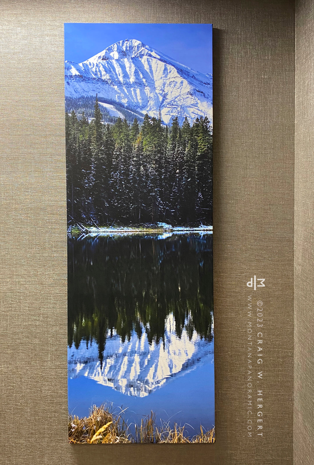 "Lone Glass" 24"x 72" open edition canvas print - ready to hang