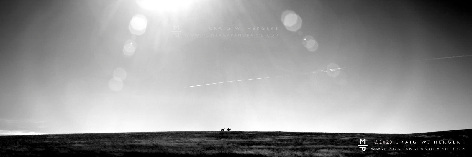 "Reluctant Progress" - Cascade, MT