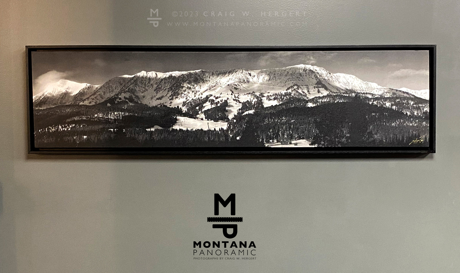 "The Ridge" - 60" x 15" Framed open edition canvas