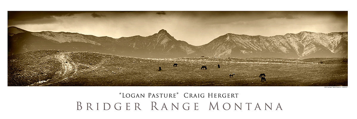 "Logan Pasture" - Logan, Belgrade MT - POSTER