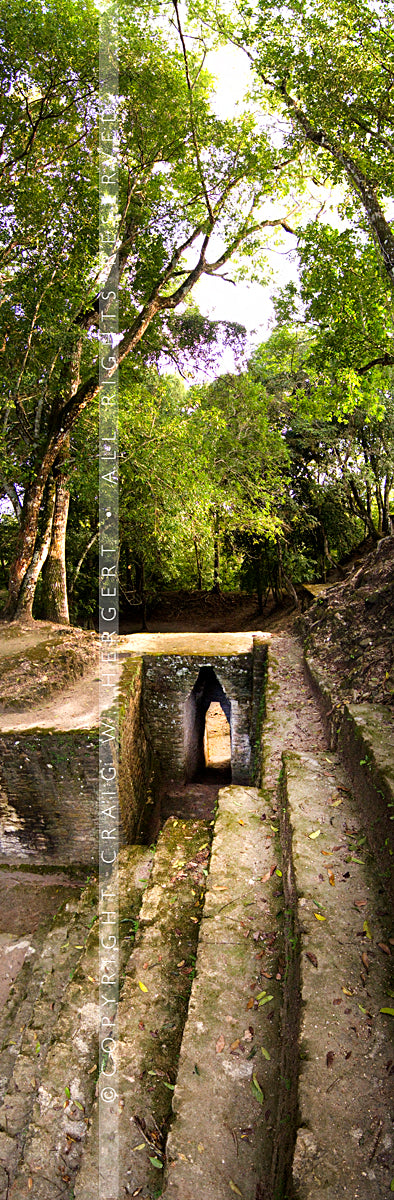"CRW 3866" - Belize (OE)