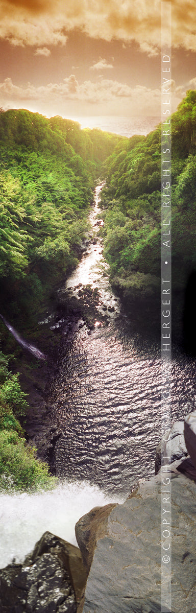 "To the Ocean" - Maui (OE)