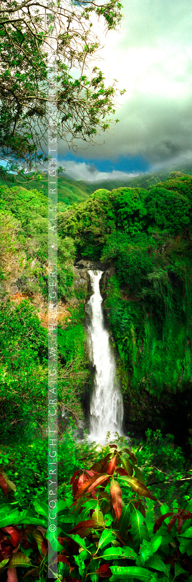 "Green Leaf" - Maui (OE)