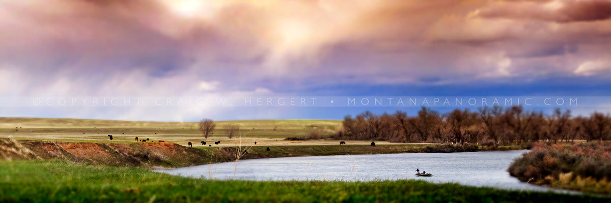 "Bank Cast" - Bighorn River, Montana (OE)