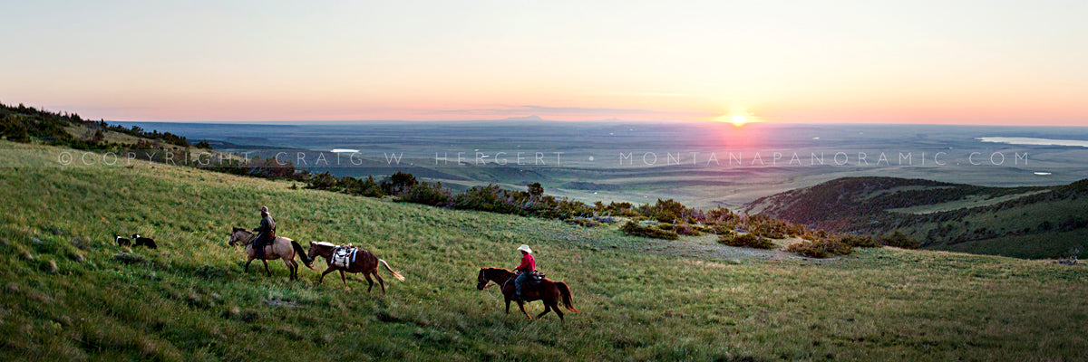 "MG 7864" - Choteau, MT (OE)