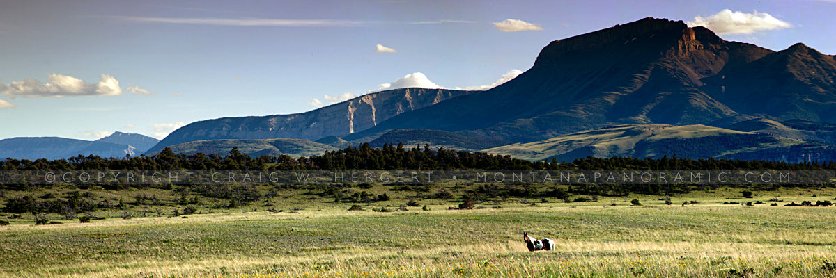 "MG 7567" - Choteau (OE)