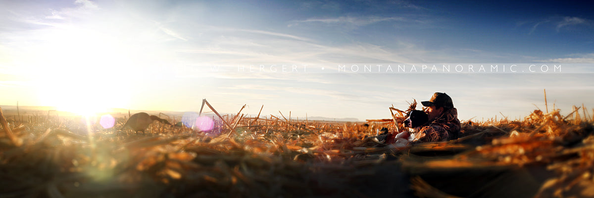 "MG 7176" - Montana (OE)