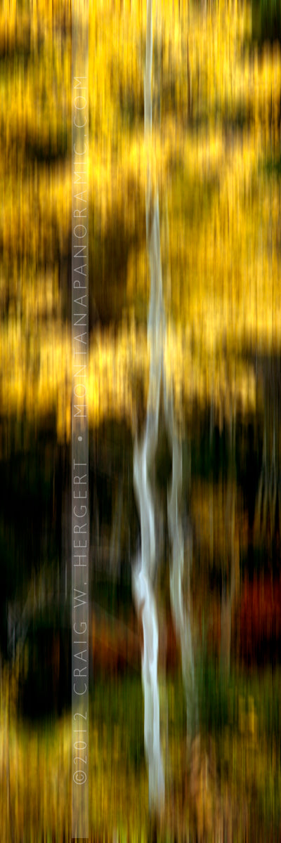 "MG 3856" - Impressions (OE)