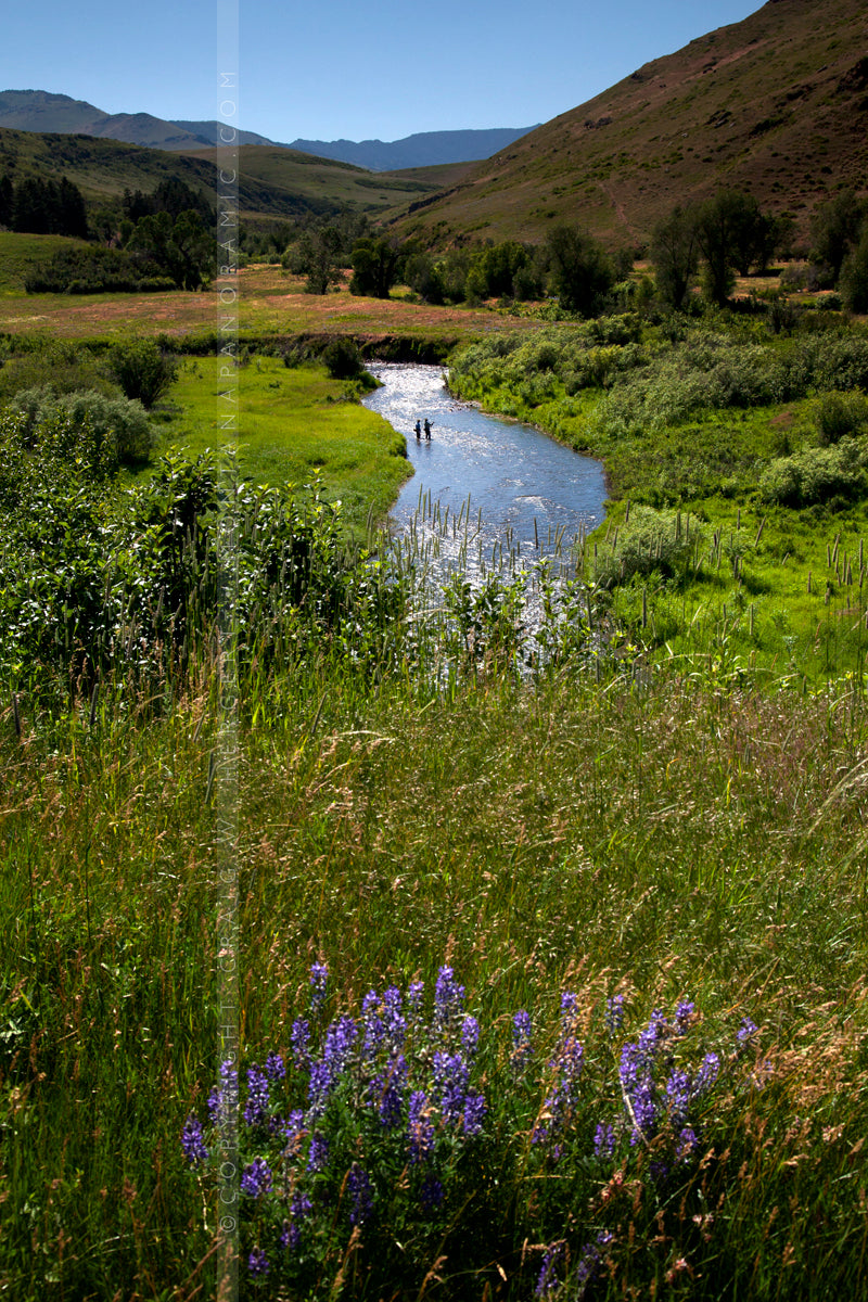 "Collection #MG 0766" Cascade, MT (OE)