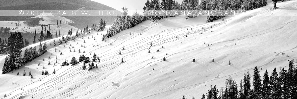 "High Voltage" Great Divide, Helena (OE)