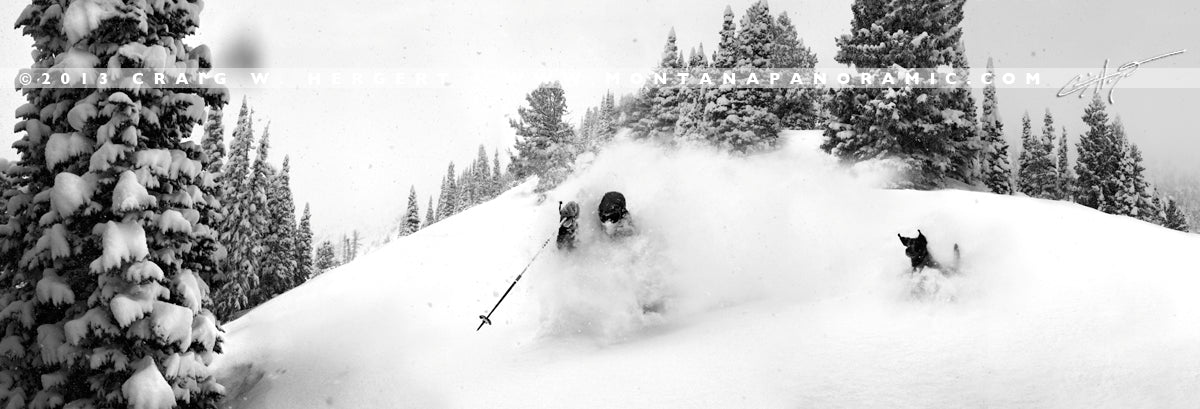 "Dog Days of WInter" - Bridger Bowl, MT