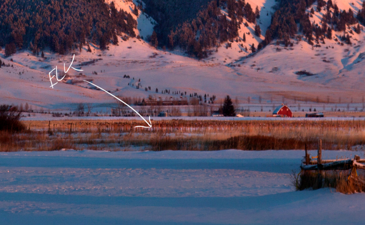 "Winter Pasture, Bridger Range #1"- Springhill (OE)