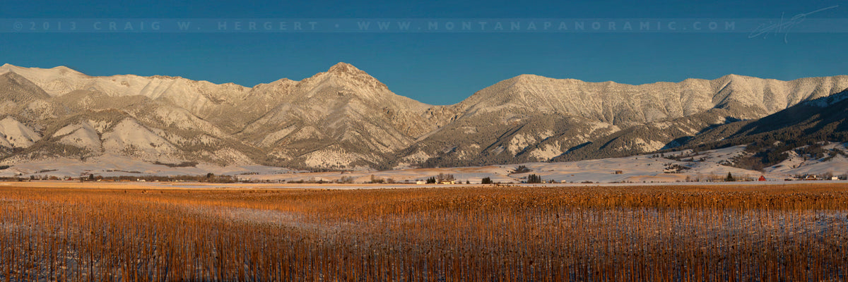 "Winter Pasture, Bridger Range #1"- Springhill (OE)