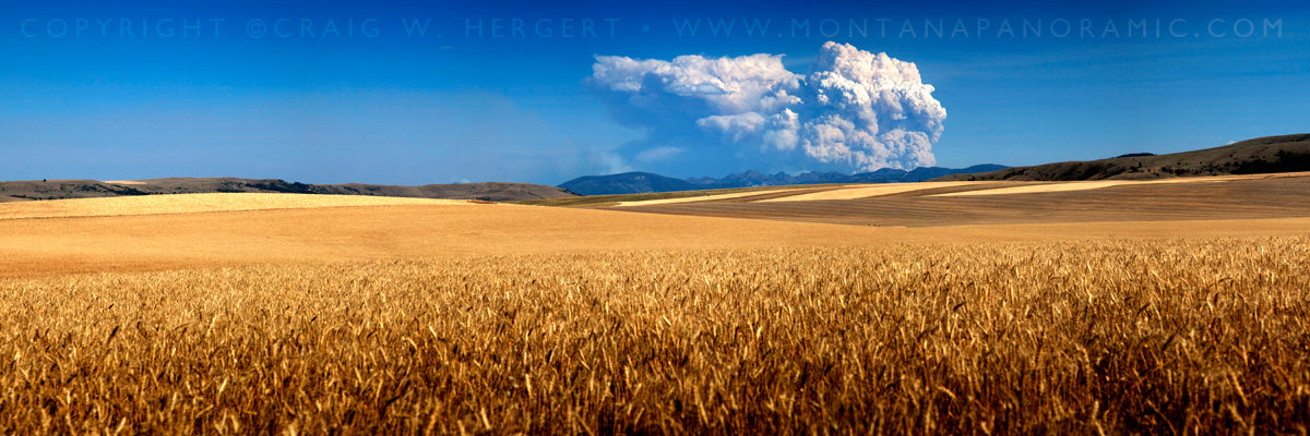 "Fire Season - #1" - Bozeman, MT