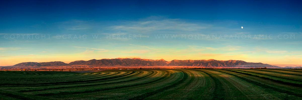 "Third Cutting" - Bozeman, MT