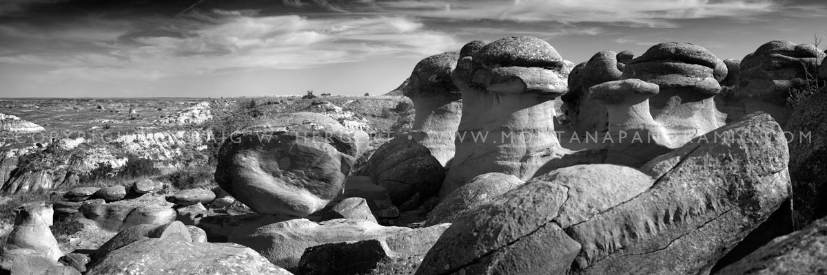 "Ancient Carving" - Terry, MT