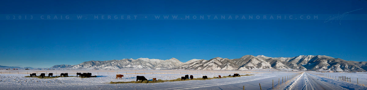 "Calving Season-Bridger Range" - Bozeman, MT