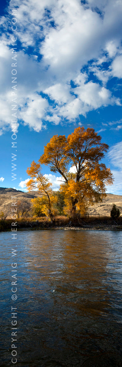 "Cottonwoods #1" - Three Forks, MT (OE)