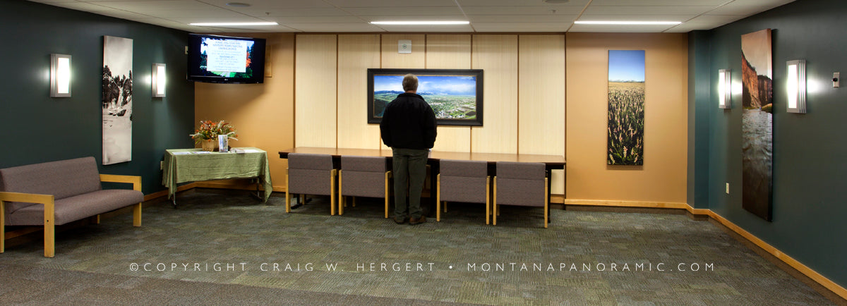 "Downtown" 60 x 24" - black wood framed canvas print, open edition - signed: