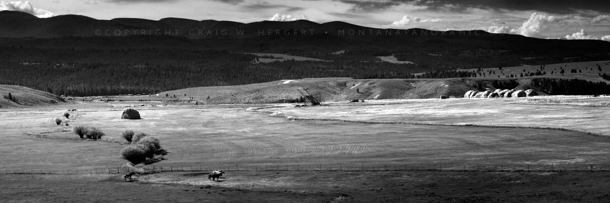 "Collection #5831" - Big Hole River, MT (OE)
