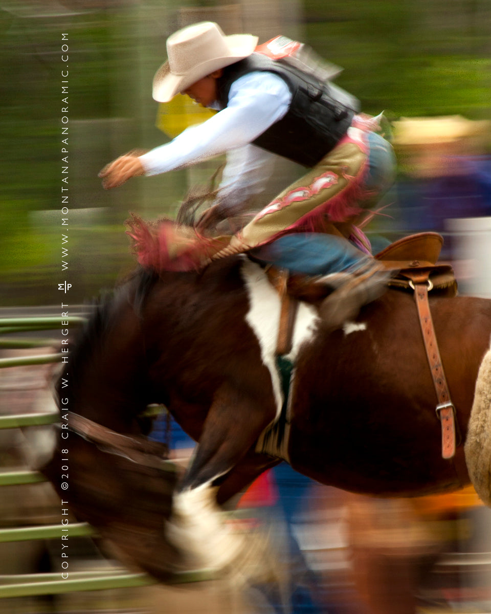 "Rodeo series #9149" - Augusta (OE)