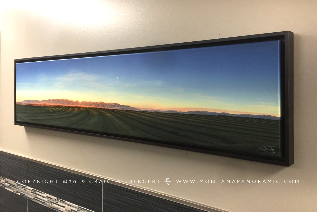 "Third Cutting" - 58 x 15" Framed canvas