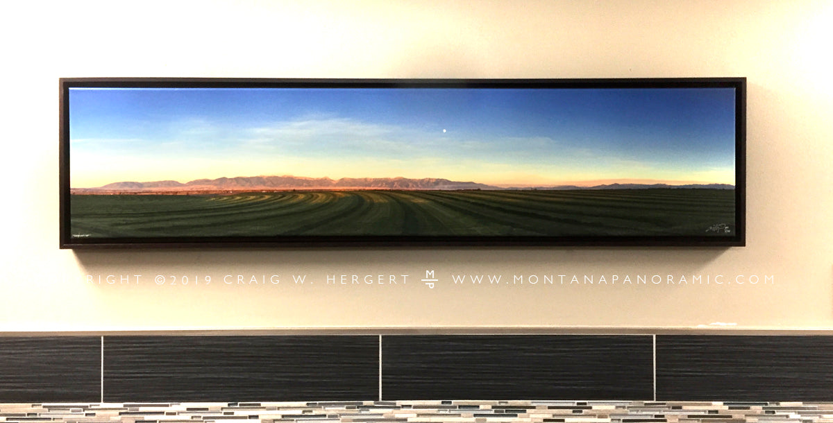 "Third Cutting" - 58 x 15" Framed canvas