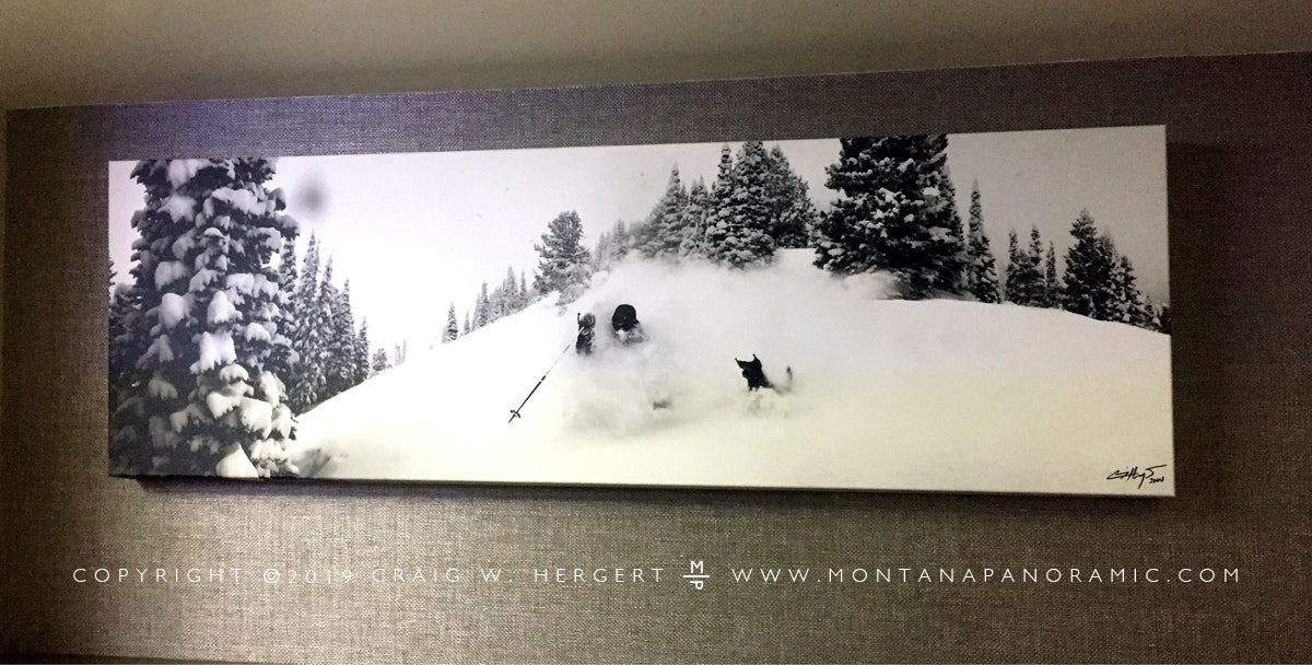 "Dog Days of WInter" - Bridger Bowl, MT