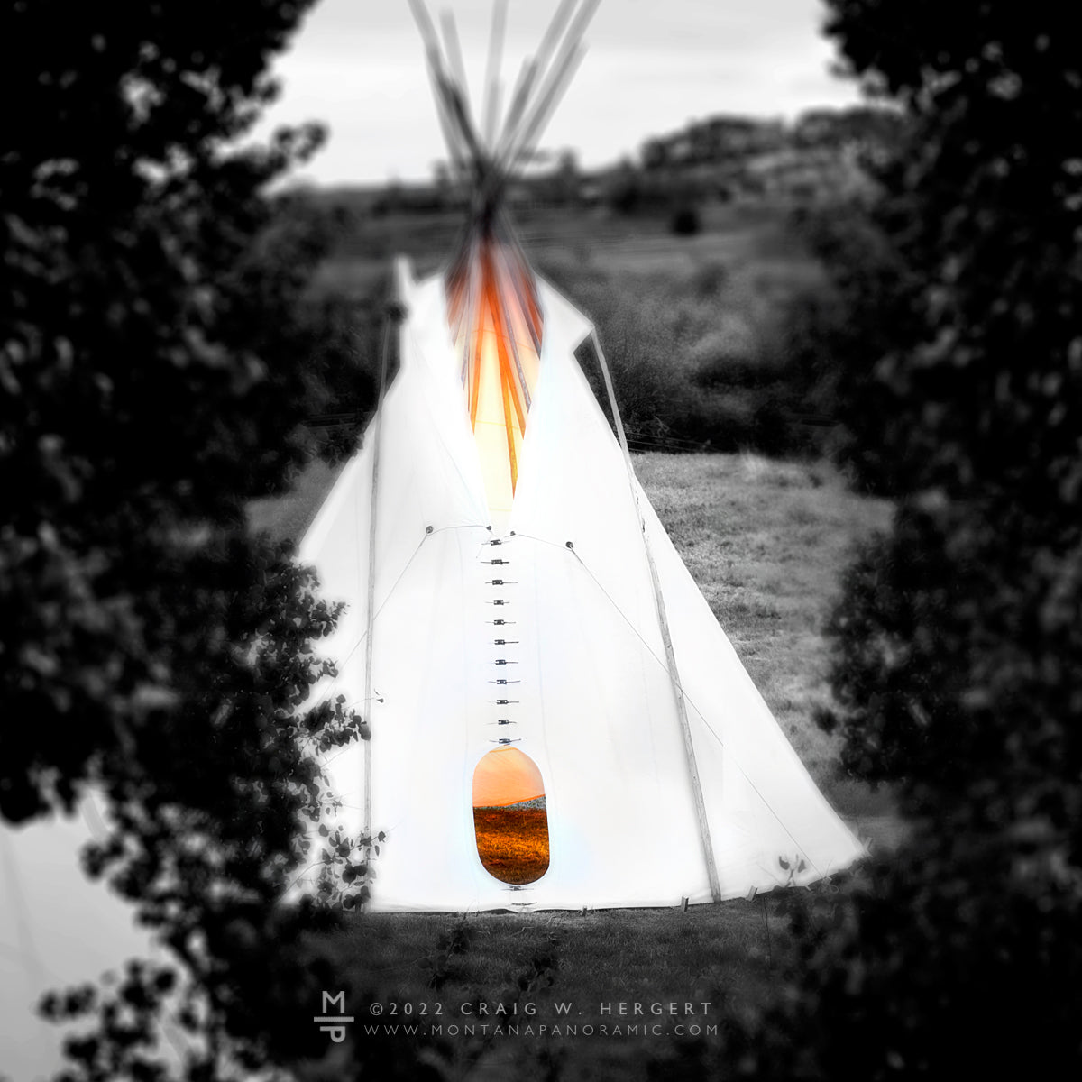 "Collection #1601" - Near Yellowstone