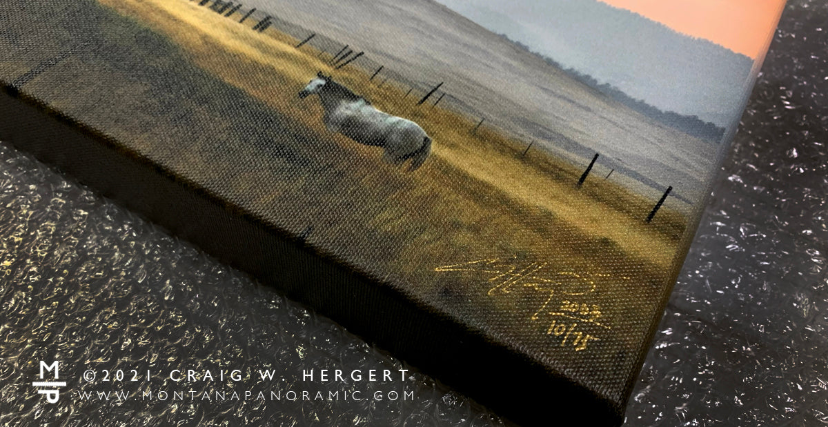 "Silhouette" - 30" x 10" Gallery Wrap Framed Limited Edition