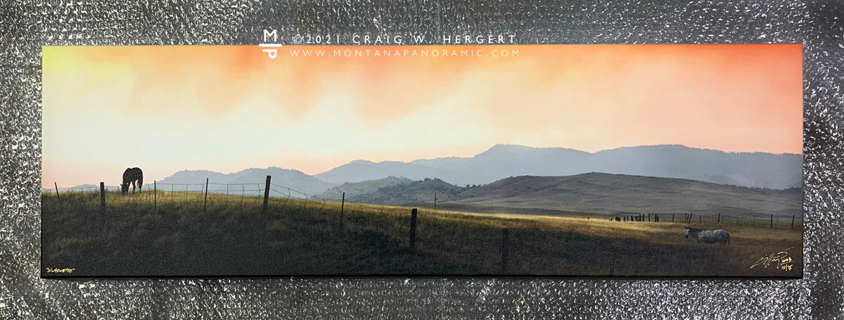 "Silhouette" - 30" x 10" Gallery Wrap Framed Limited Edition