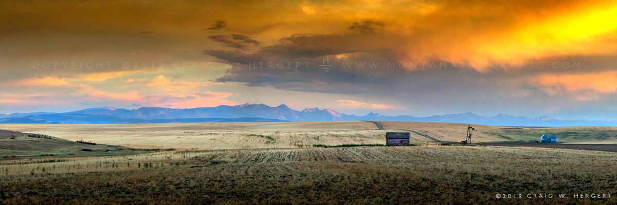 "Homestead-Amsterdam"  - Amsterdam, MT