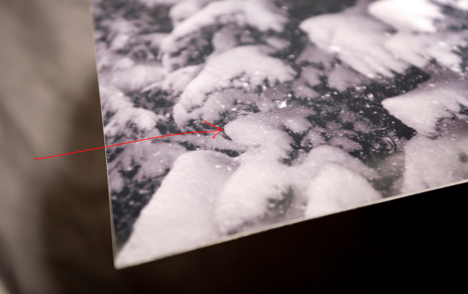 "Dog Days of Winter" 72"x24" open edition metal print