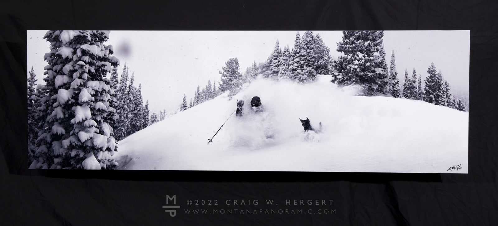 "Dog Days of Winter" 72"x24" open edition metal print