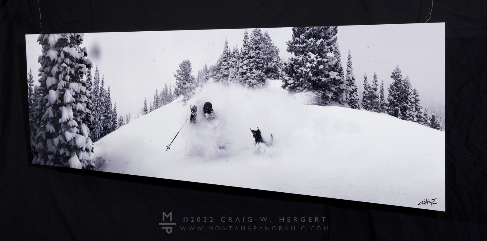 "Dog Days of WInter" - Bridger Bowl, MT