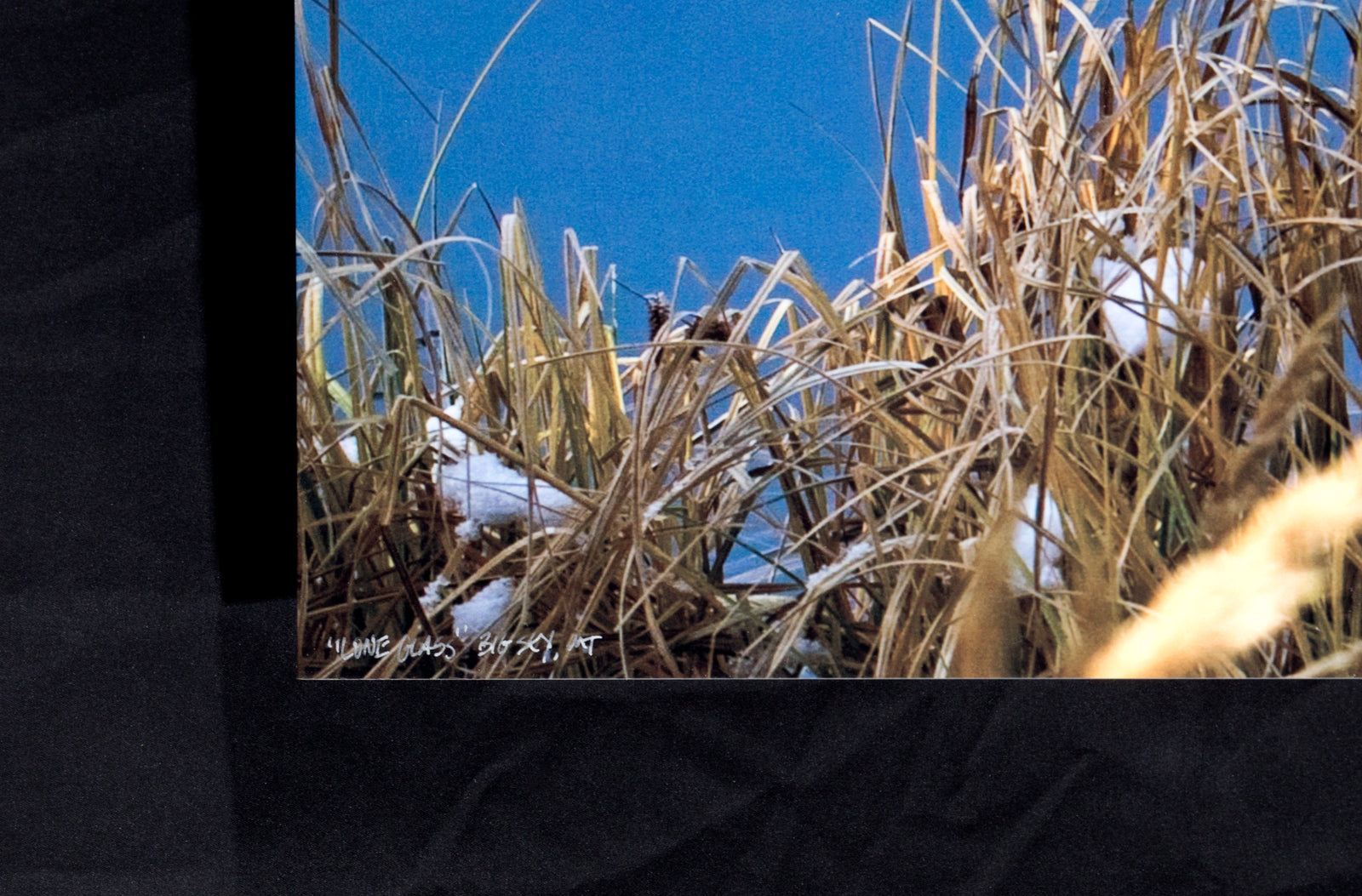 "Lone Glass" 30"x 84" open edition metal print - ready to hang