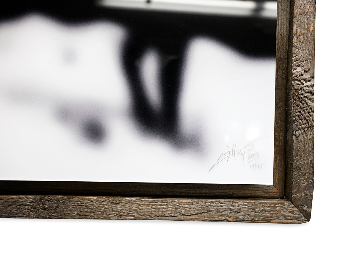 "The Boys Club" - 15"x45" acrylic print with barn wood frame