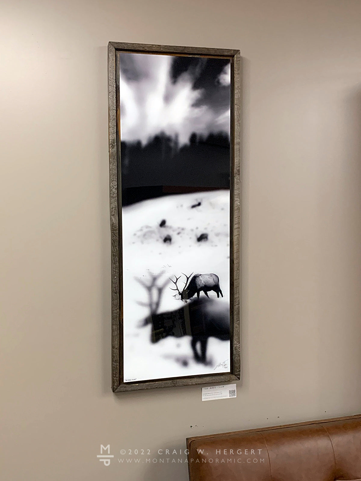 "The Boys Club" - 15"x45" acrylic print with barn wood frame