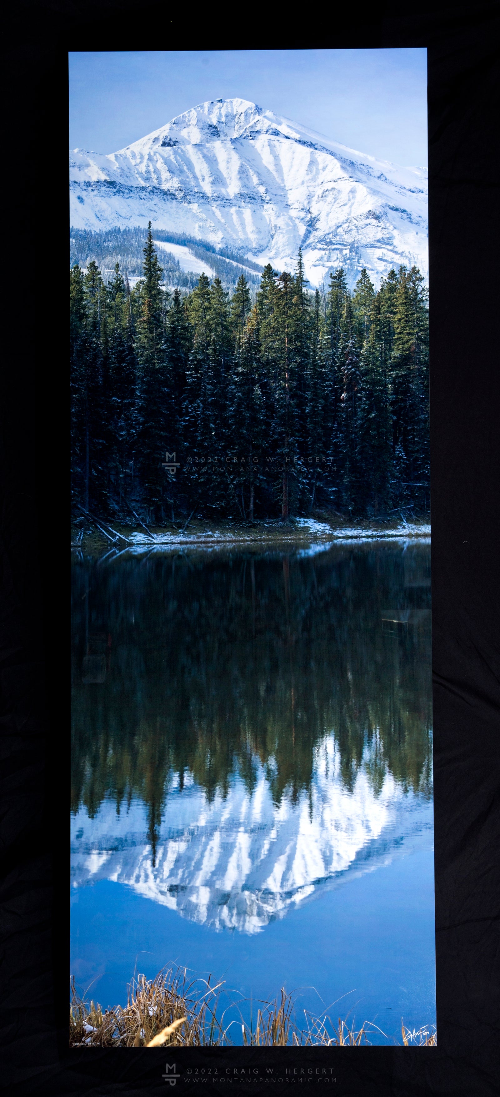 "Lone Glass" 30"x 84" open edition metal print - ready to hang