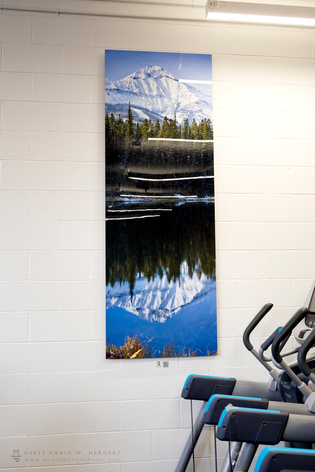 "Lone Glass" 30"x 84" open edition metal print - ready to hang