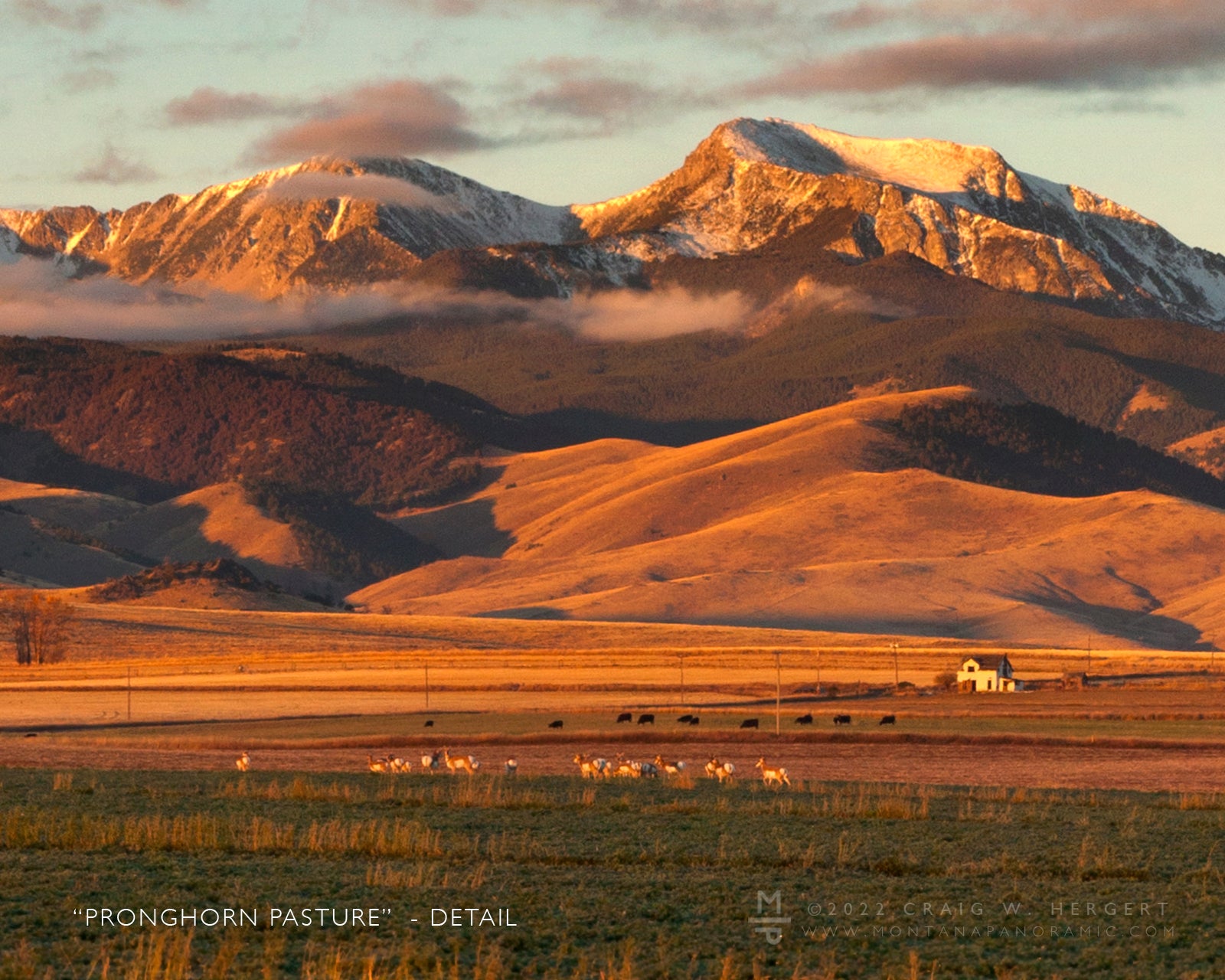 "Pronghorn Pasture" - Pony, MT (OE)