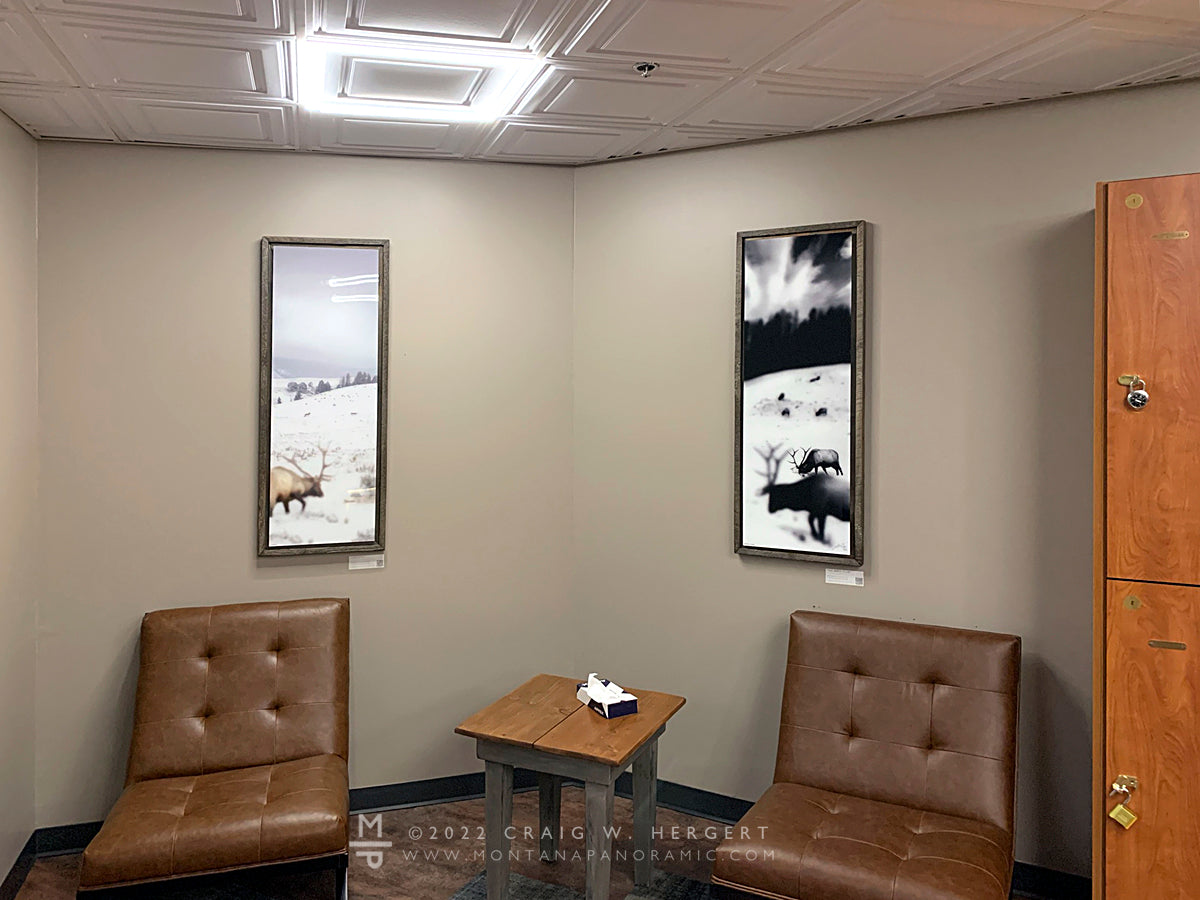 "The Boys Club" - 15"x45" acrylic print with barn wood frame